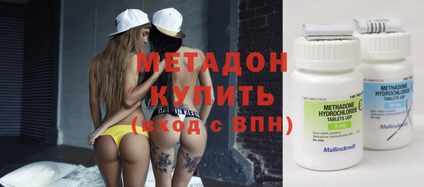 индика Богданович