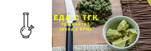 индика Богданович