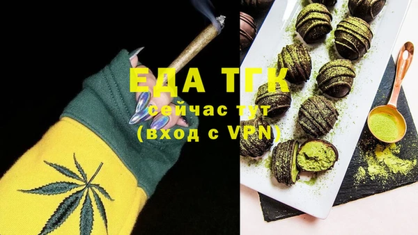 индика Богданович