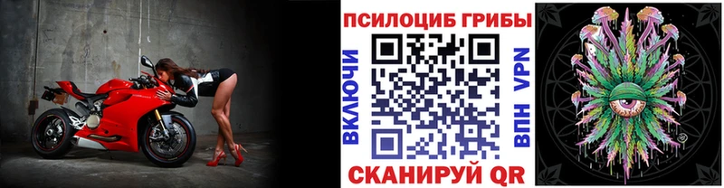 Галлюциногенные грибы GOLDEN TEACHER  Шагонар 